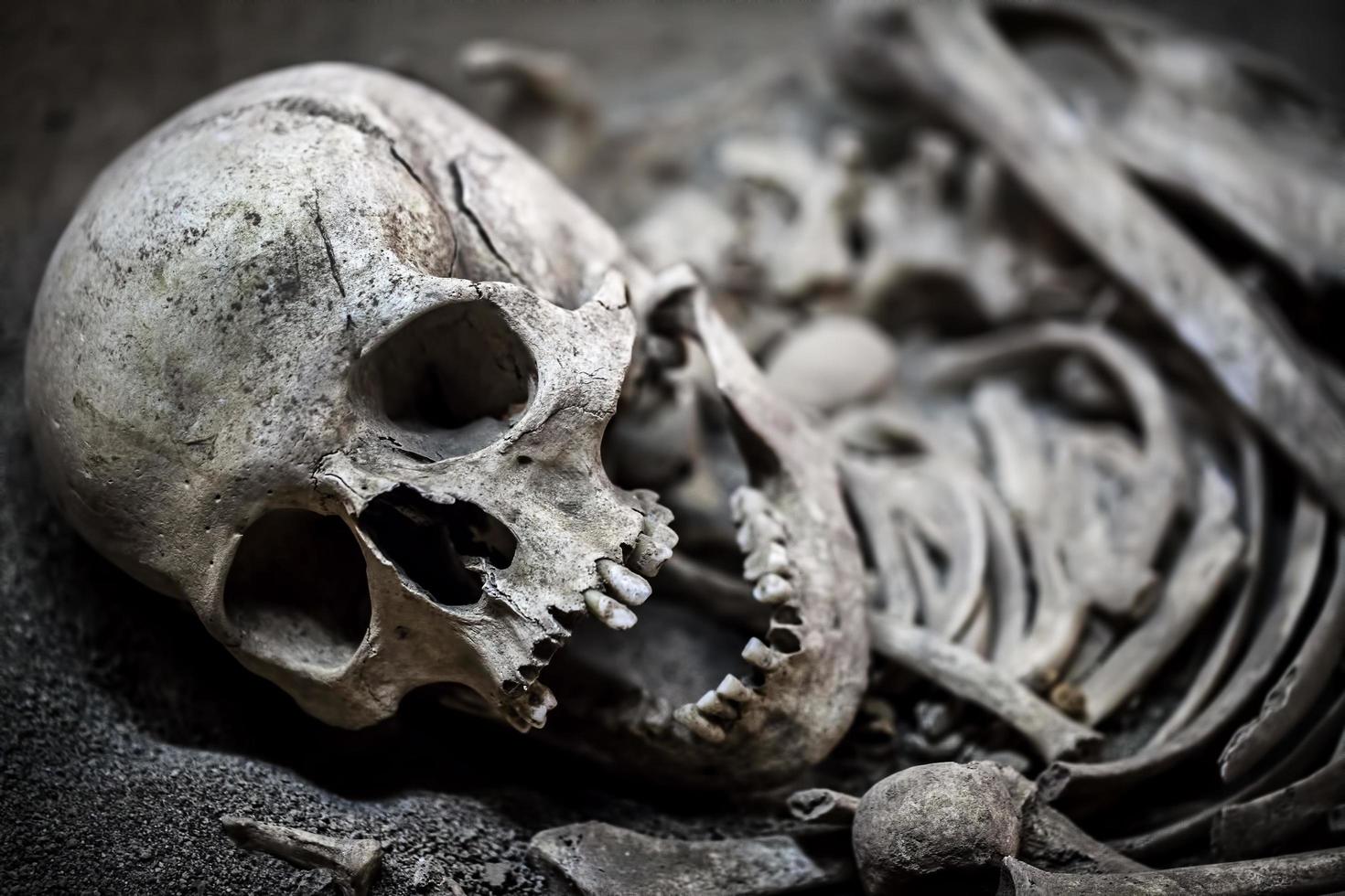 huesos de esqueleto de muerte humana y cráneo foto