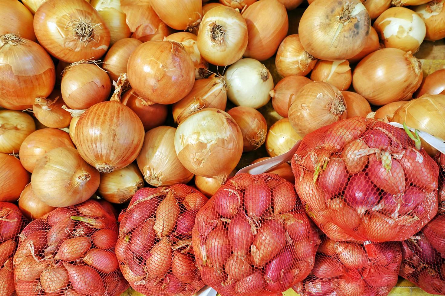 Organic Vegetable Food Onion in Grocery photo