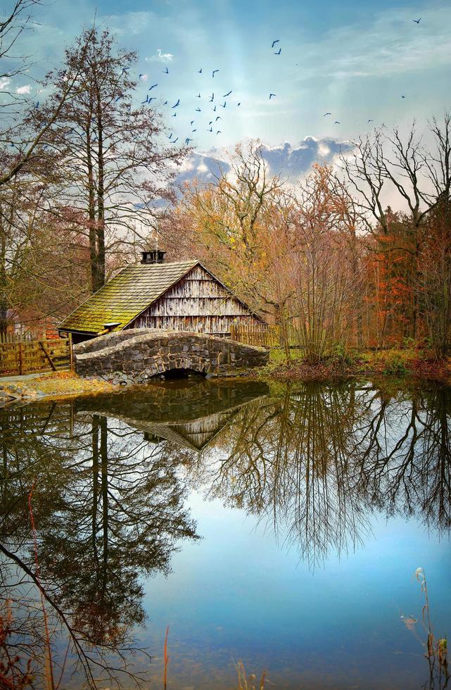 vendimia, viejo, alemán, casa de campo, y, naturaleza foto