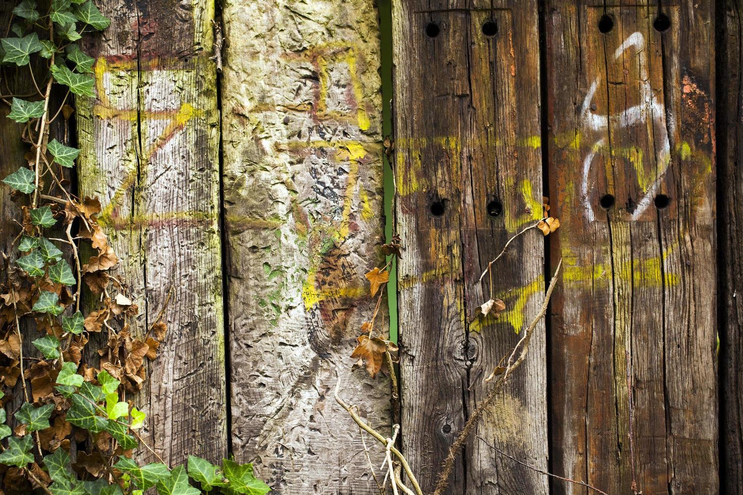 Abstract Grunge Wooden Background Texture photo