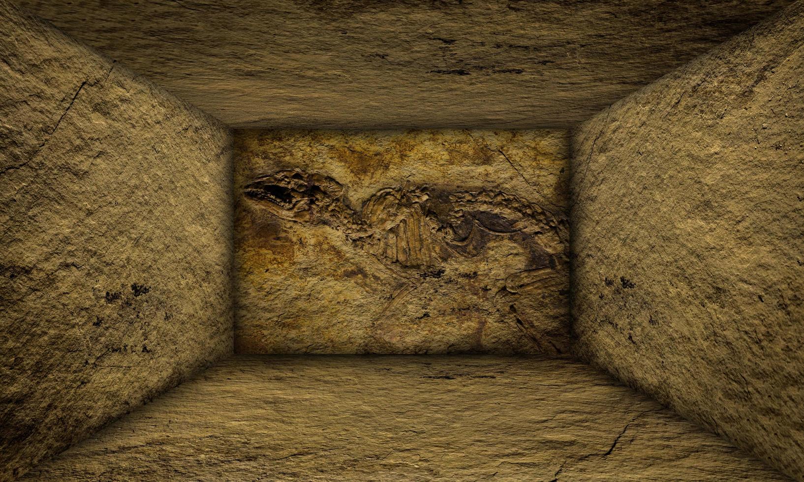 Abstract Urban Interior Prehistoric Fossil on Walls Stage photo