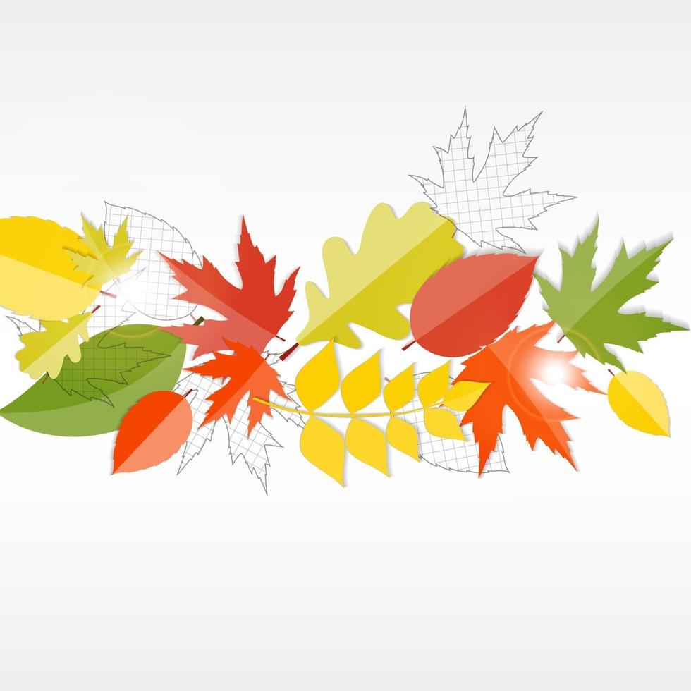 Fondo de hojas naturales de otoño brillante. ilustración vectorial vector