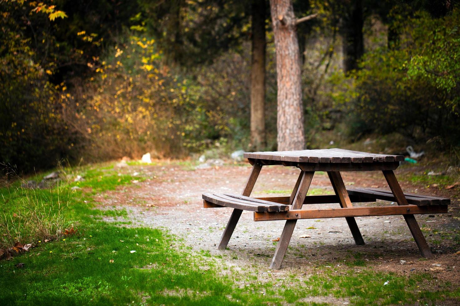 árboles estacionales y carreteras naturaleza verde en el parque foto