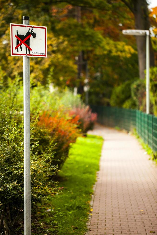 árboles estacionales y carreteras naturaleza verde en el parque foto