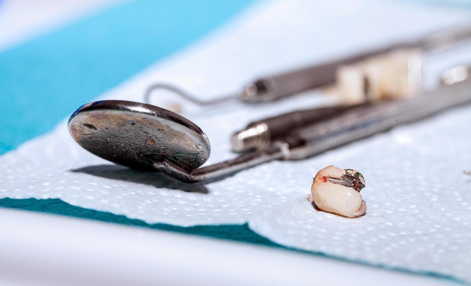 placa de dientes de porcelana de circonio foto