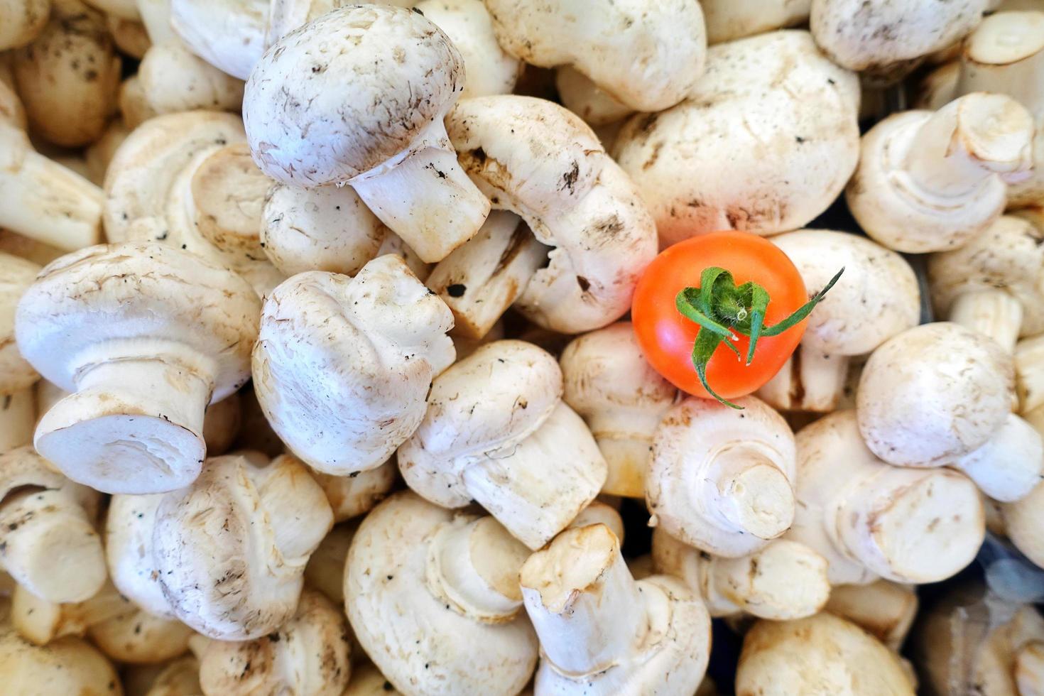 hongo orgánico saludable y un tomate foto