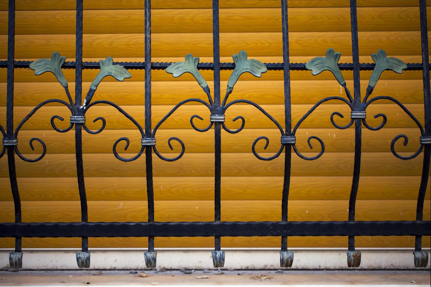 Abstract Architecture Design of Iron Fences photo