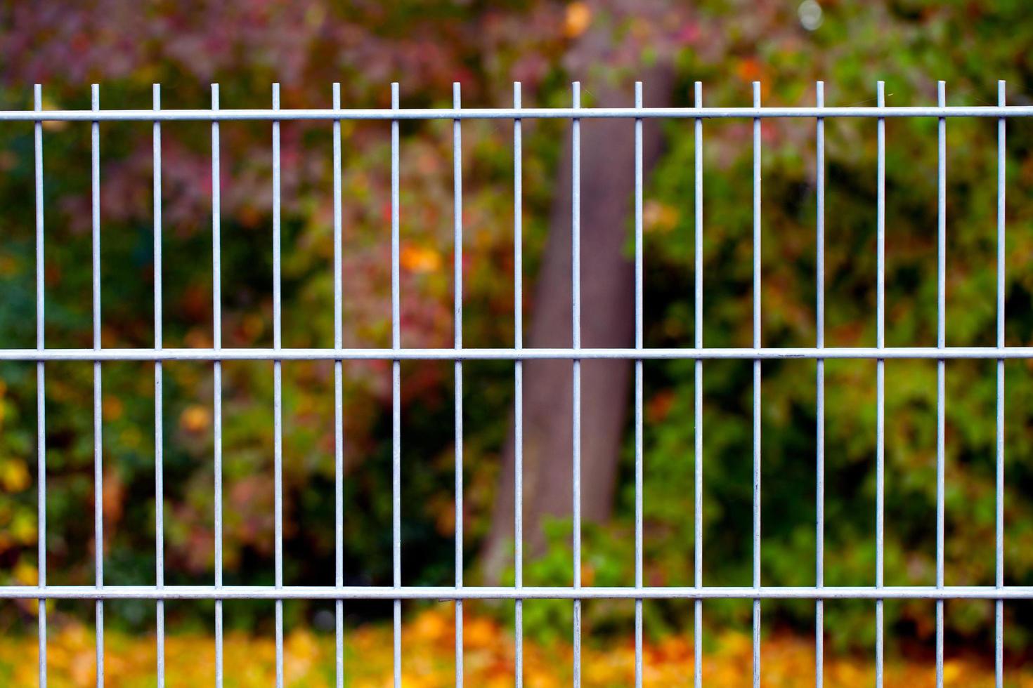 Abstract Architecture Design of Iron Fences photo