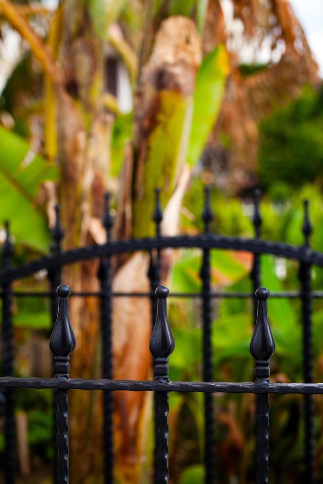 Abstract Architecture Design of Iron Fences photo