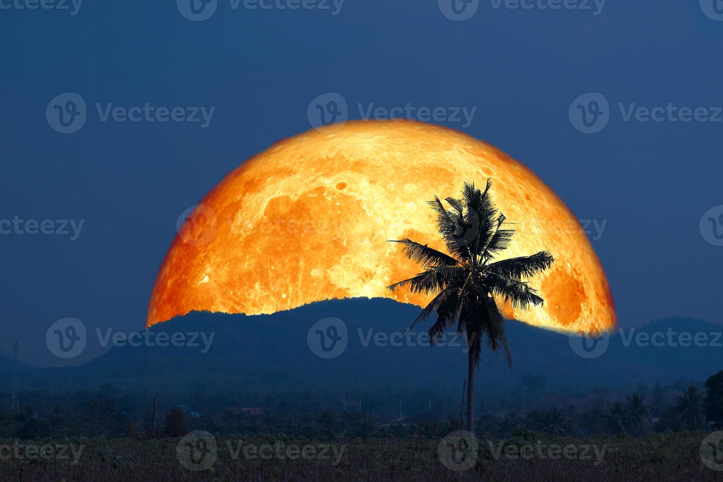 Super blood moon and silhouette coconut tree mountain in the night sky photo