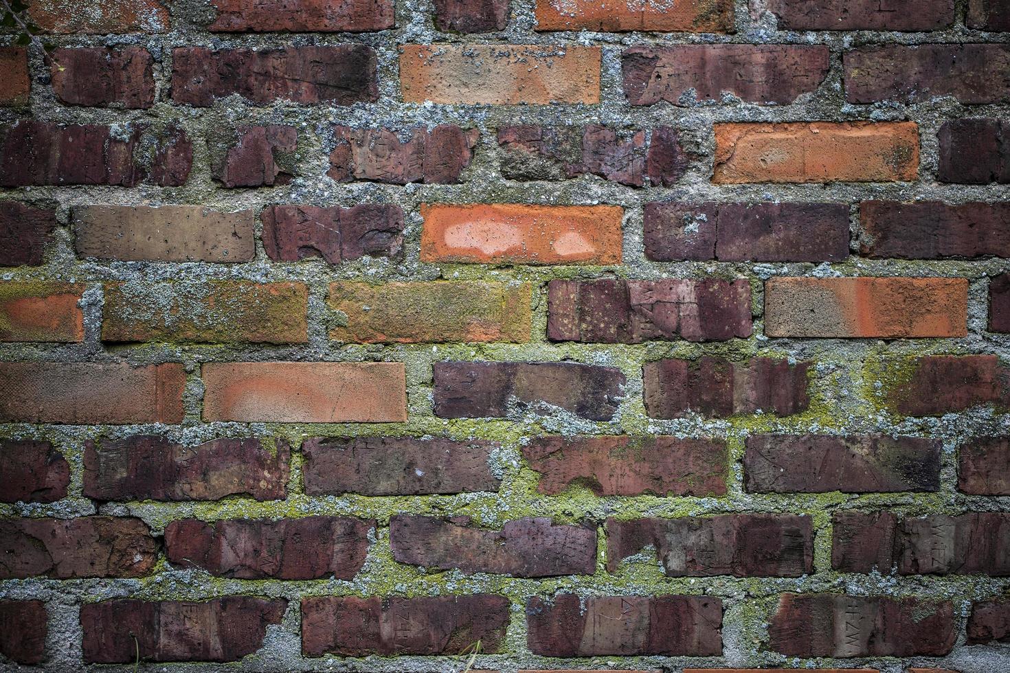 Grunge Stone Brick Wall Background Texture photo