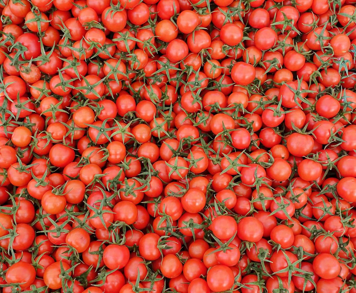 tomate vegetal saludable y jugoso foto