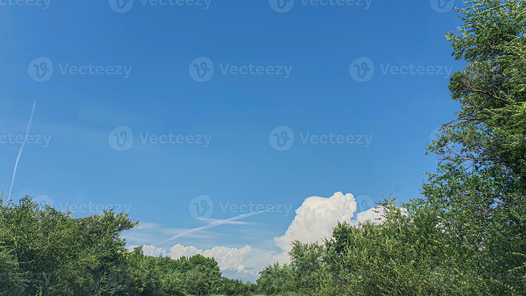 Blue sky with clouds, flying birds and green branches. photo