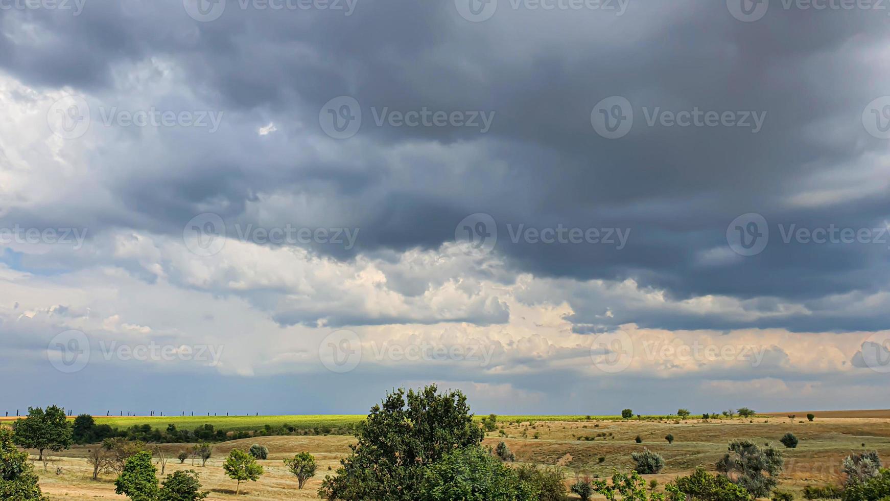 cielo oscuro sobre un campo amarillo. se acerca una tormenta. foto