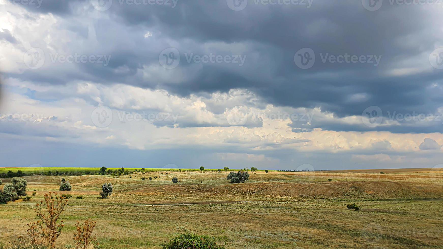 Dark sky over a yellow field. A thunderstorm is coming. photo