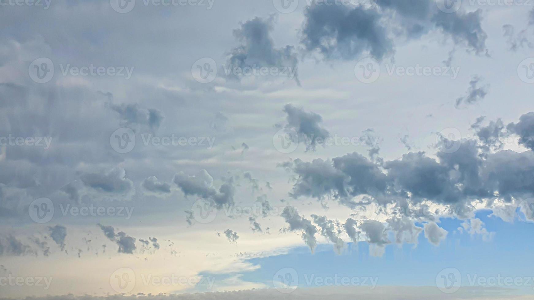 cielo azul con nubes, pájaros voladores y ramas verdes. foto