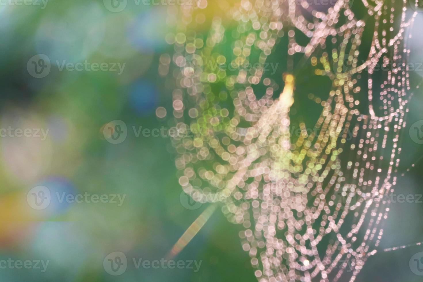 Rain drops blurred with spider web in abstract colorful garden photo