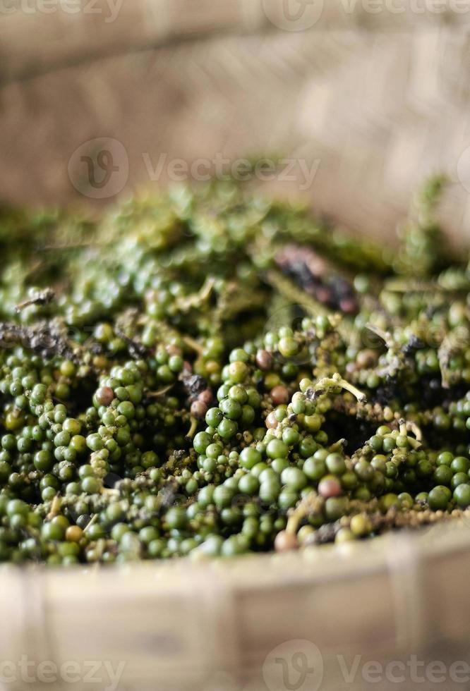 Pods of raw freshly picked organic kampot green peppercorns in Cambodia photo