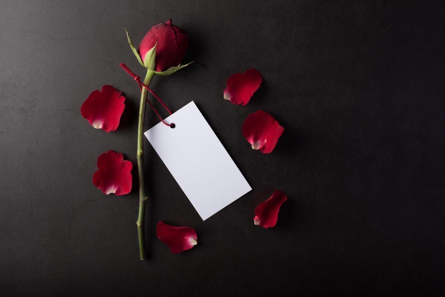 Red Rose with white card. photo