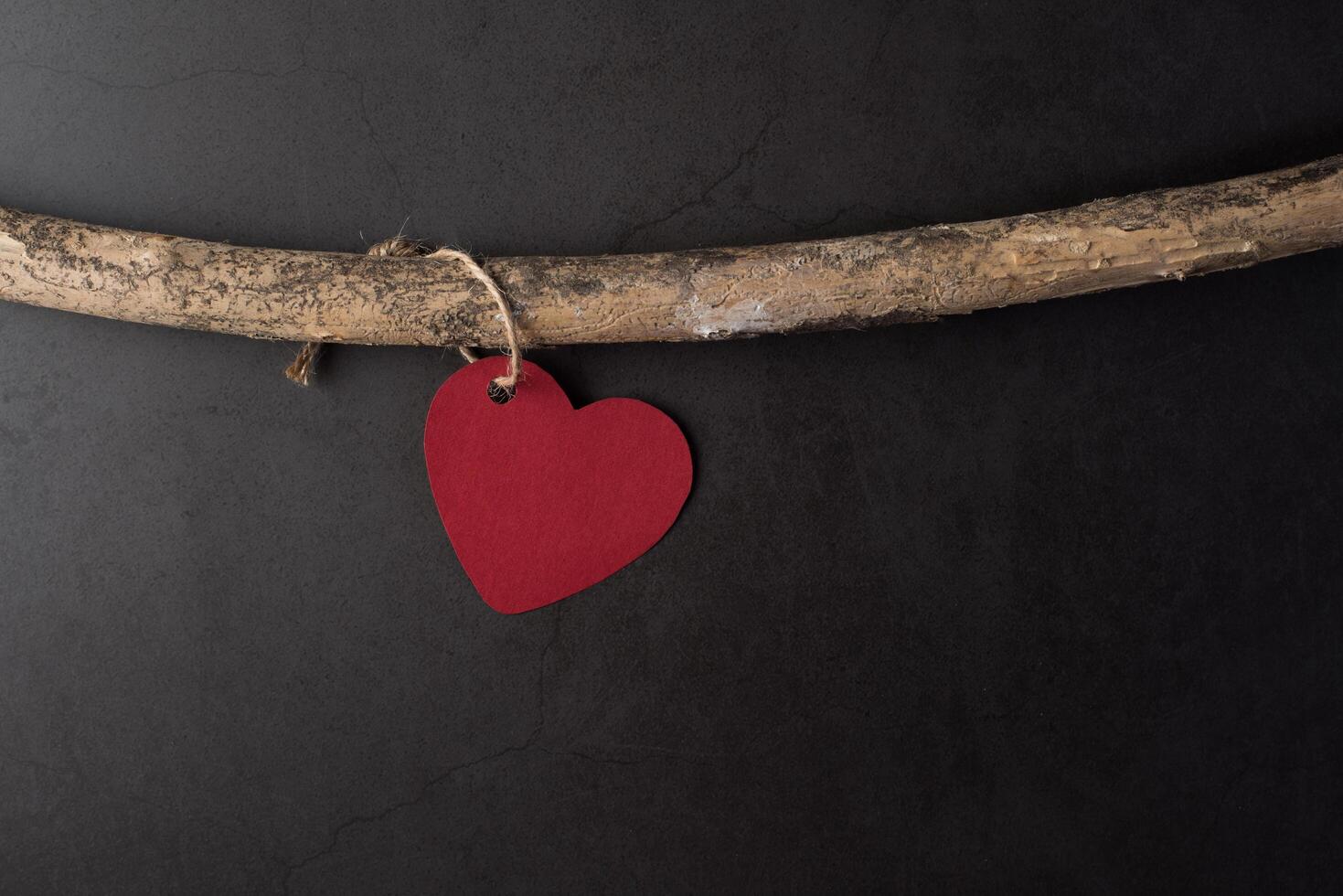 Heart hanging on the branches. photo