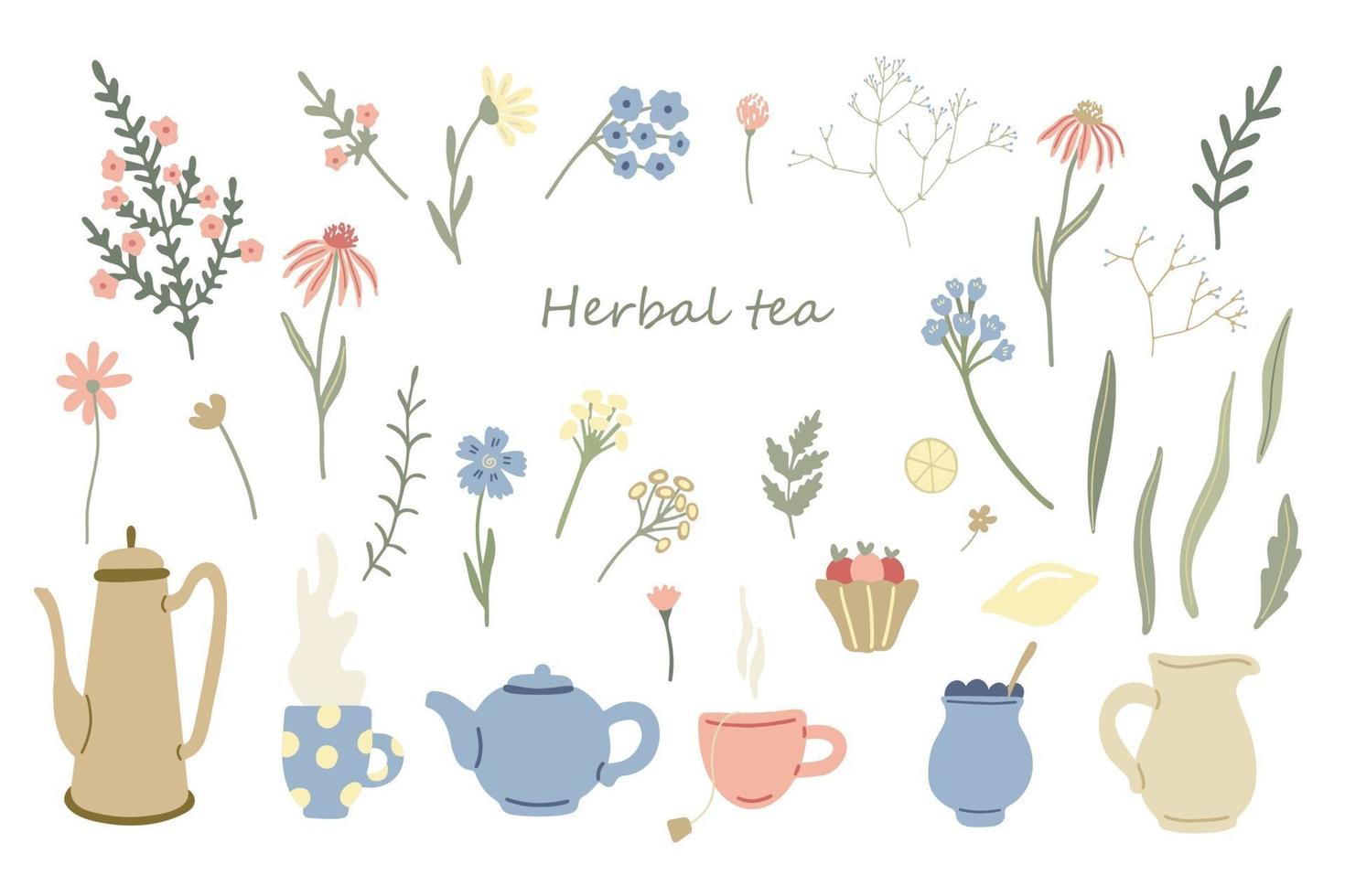 Herbals, teapots and mugs of tea set. Lemon, dessert and wildflowers vector