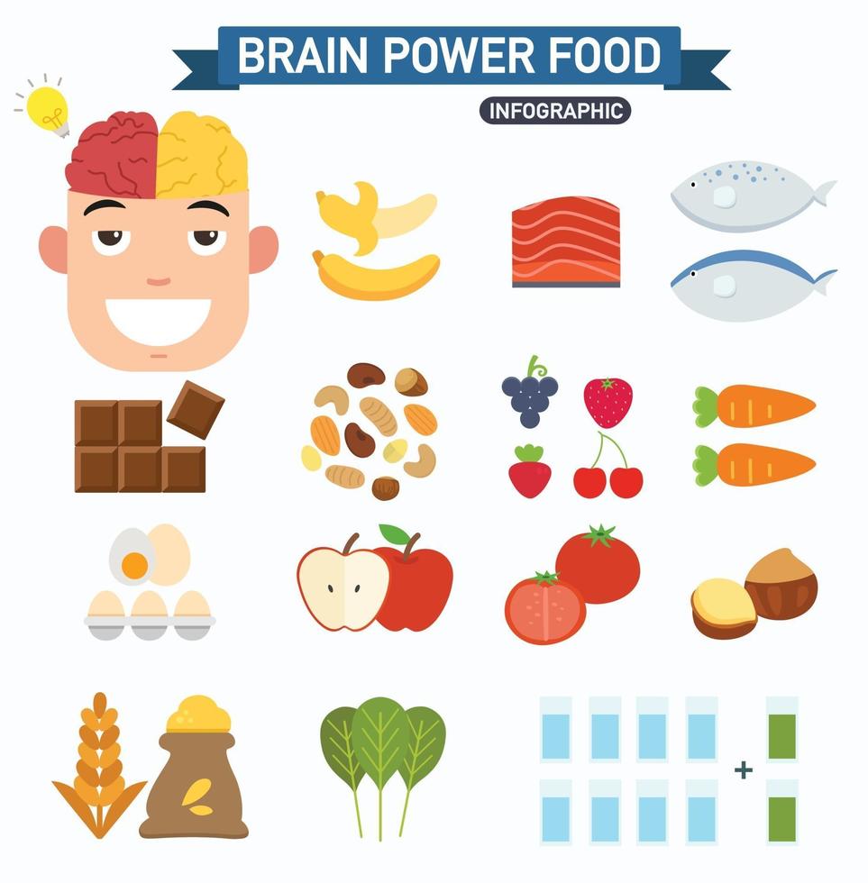 infografía de alimentos de energía cerebral vector