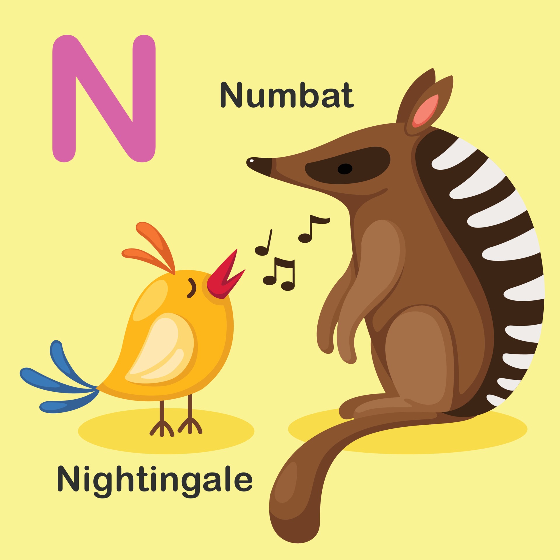 Illustration Isolated Animal Alphabet Letter N-Numbat,Nightingale 3204004  Vector Art at Vecteezy