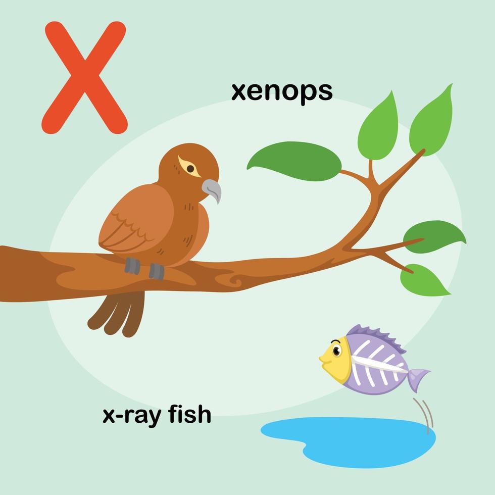 Animal Alphabet Letter X-X-ray fish,xenops.Vector vector