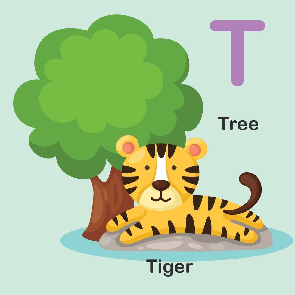 Ilustración animal aislado alfabeto letra t-árbol, tigre vector