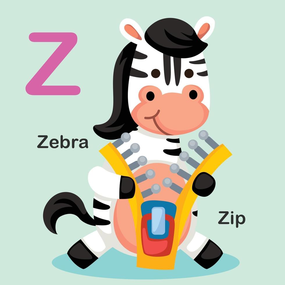 Ilustración animal aislado alfabeto letra z-zip, zebra vector