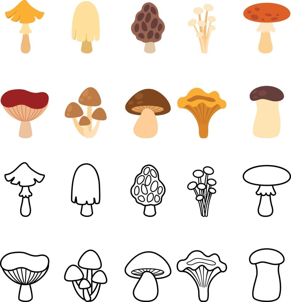 illustration of isolated mushrooms vector