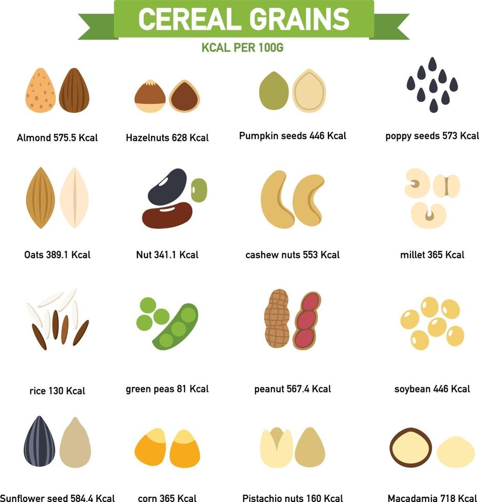 kilocalorías en granos de cereales por 100 gramos infographics.vector vector