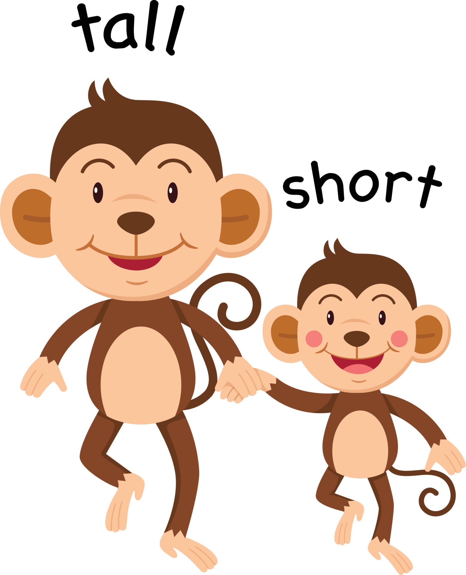 Opposites short. Tall short. Картинки Tall short. Tall short for Kids. Tall short opposites.
