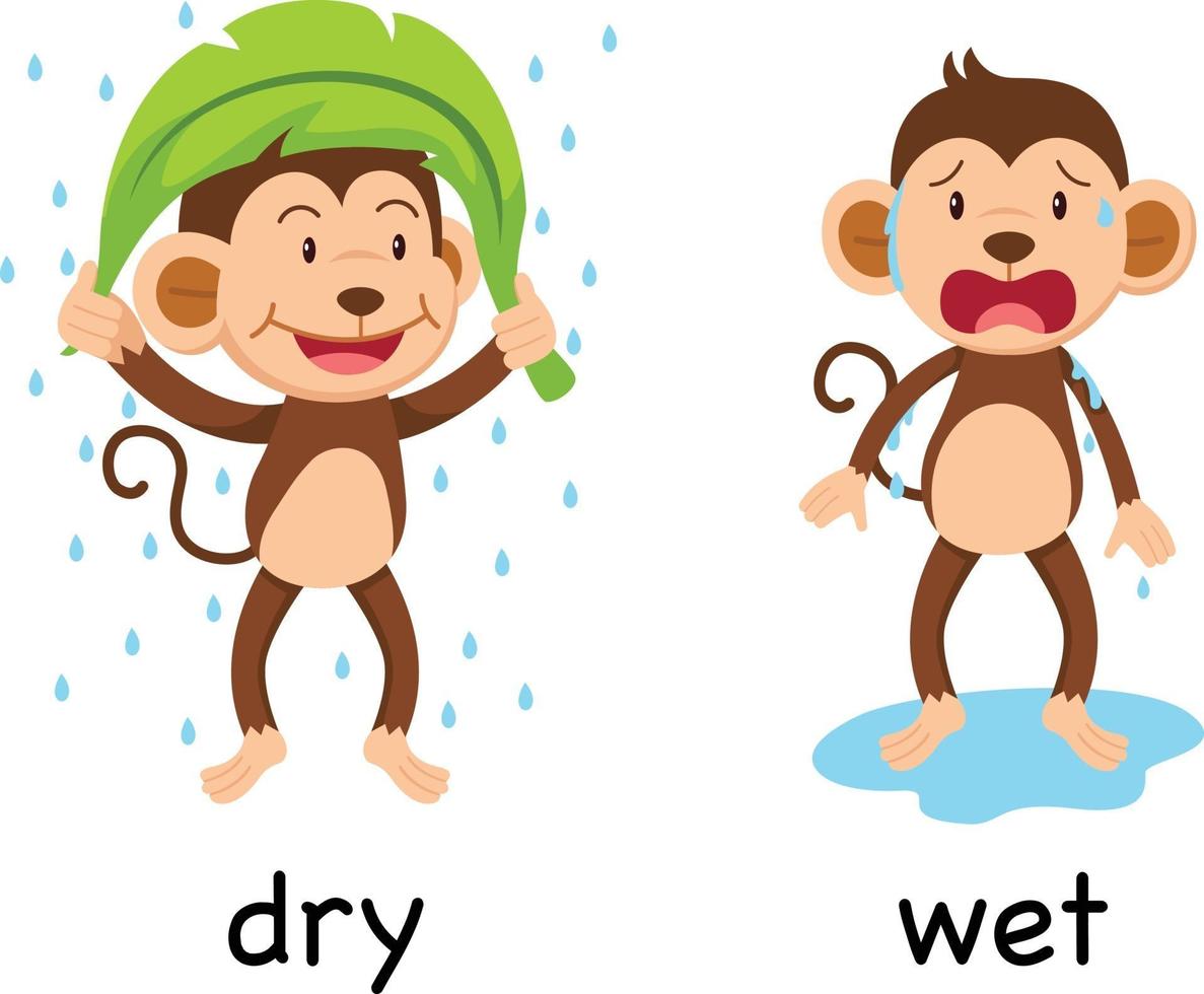 Opposite words dry and wet vector