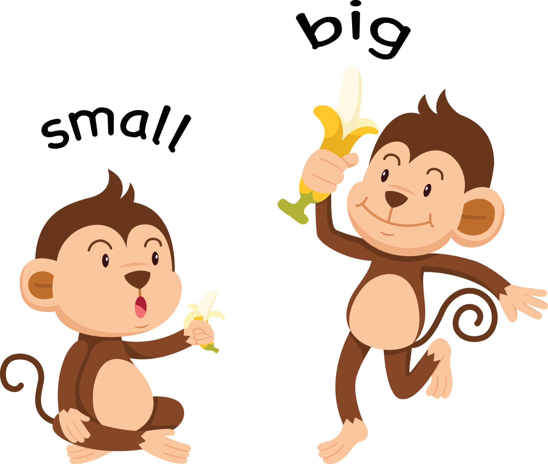 Words on the classroom walls encouraging to read. Lake gate face plane words. Big word. Small word png. Big small.