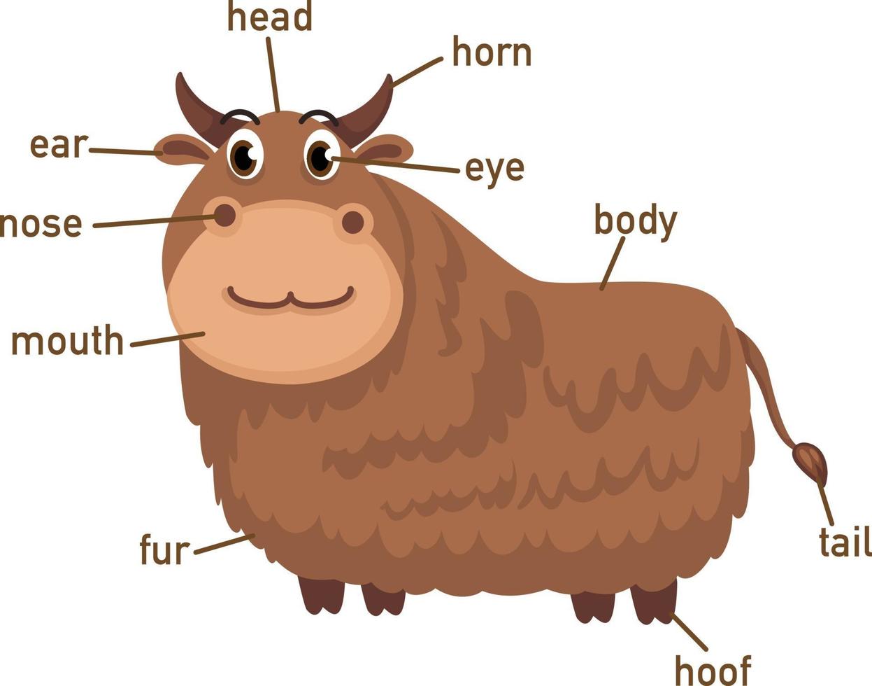 Ilustración de la parte del cuerpo del vocabulario de yak vector