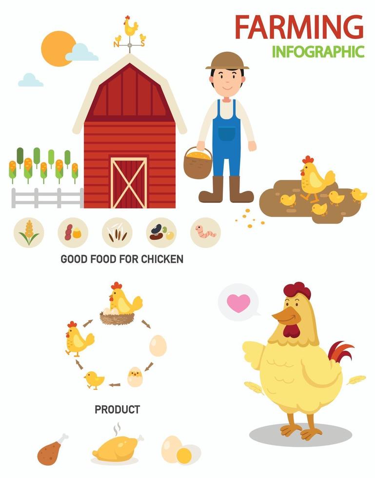 infografía de granja de pollos, ilustración vector