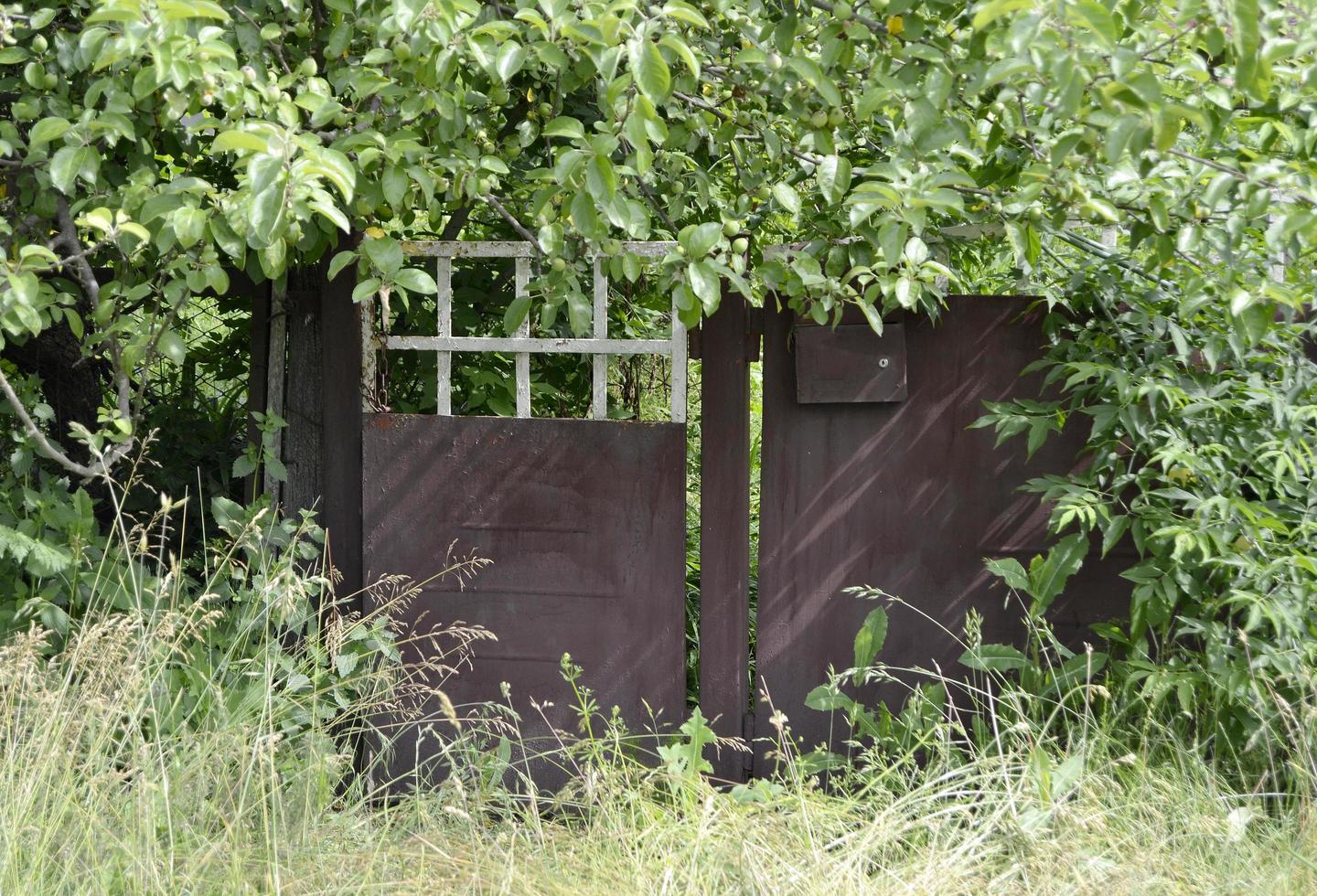 Beautiful old gate from abandoned house in village photo