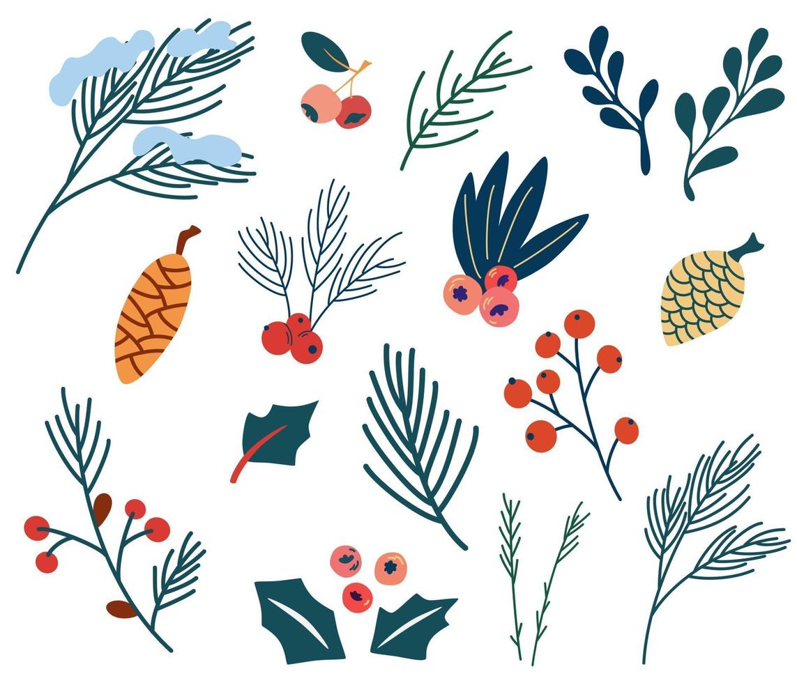 Set of fir twigs berries and cones. vector