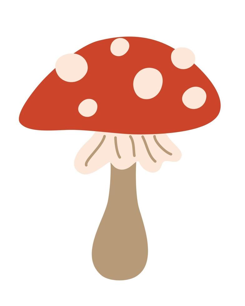 Amanita muscaria. hongo amanita. vector