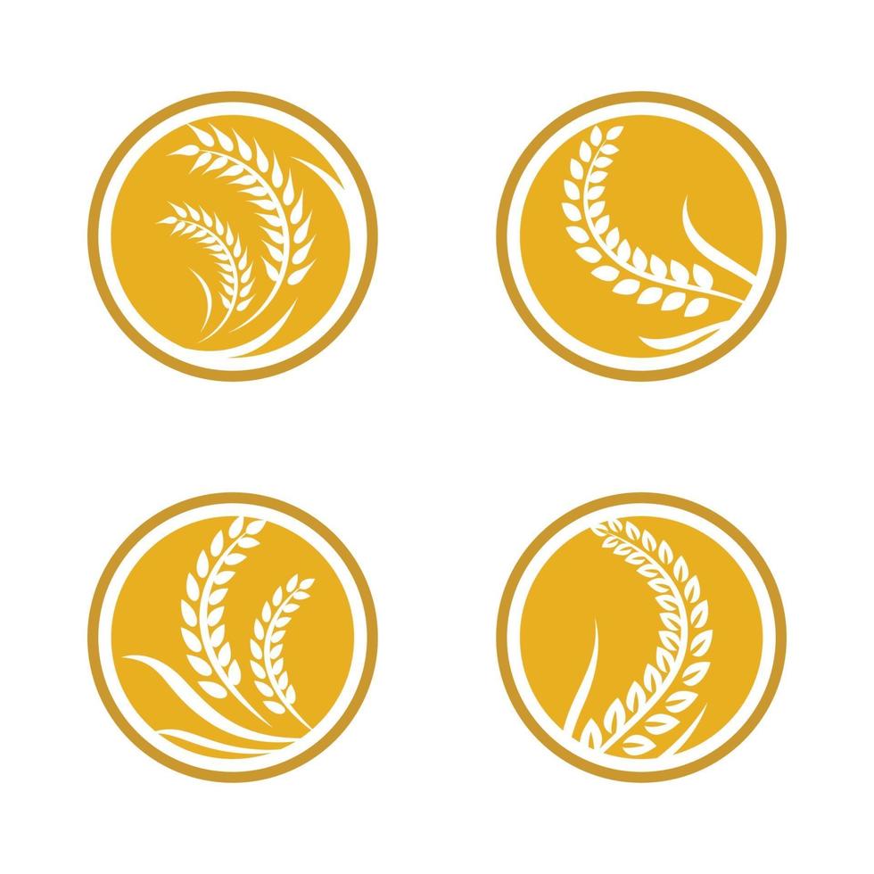 Wheat logo images vector