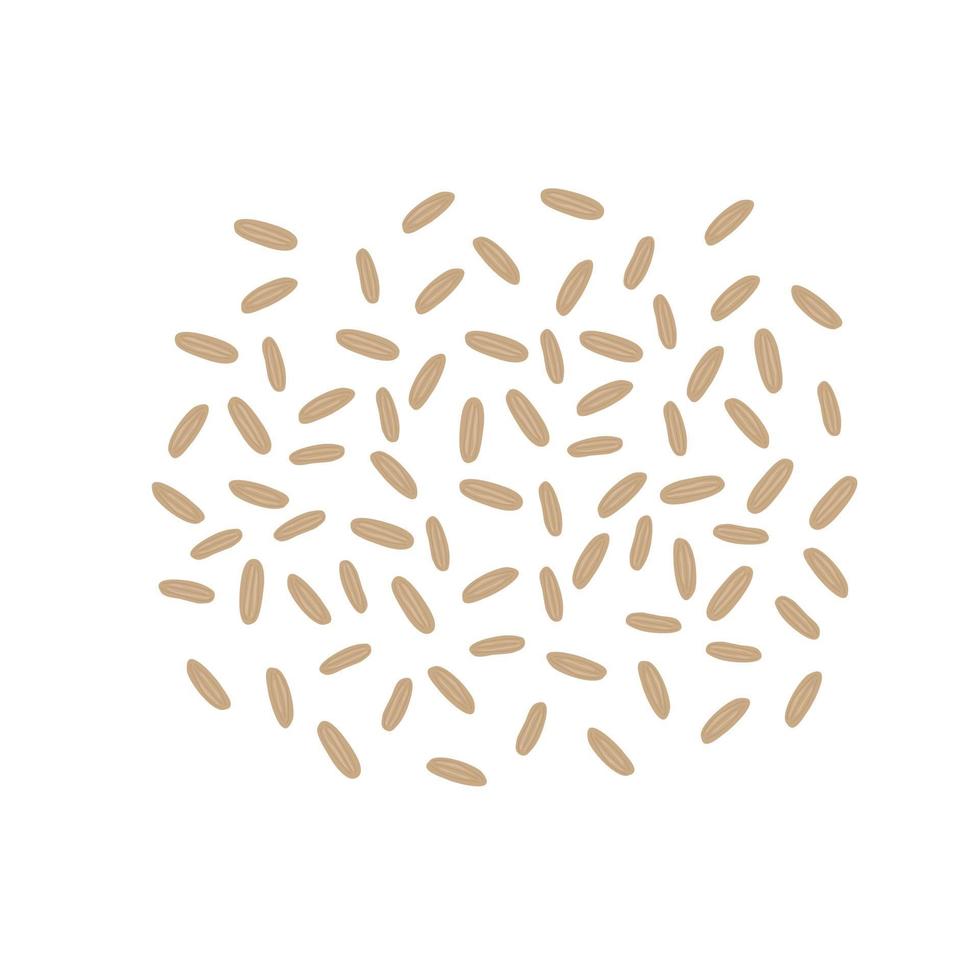 Brown rice seeds. Whole grain rice vector
