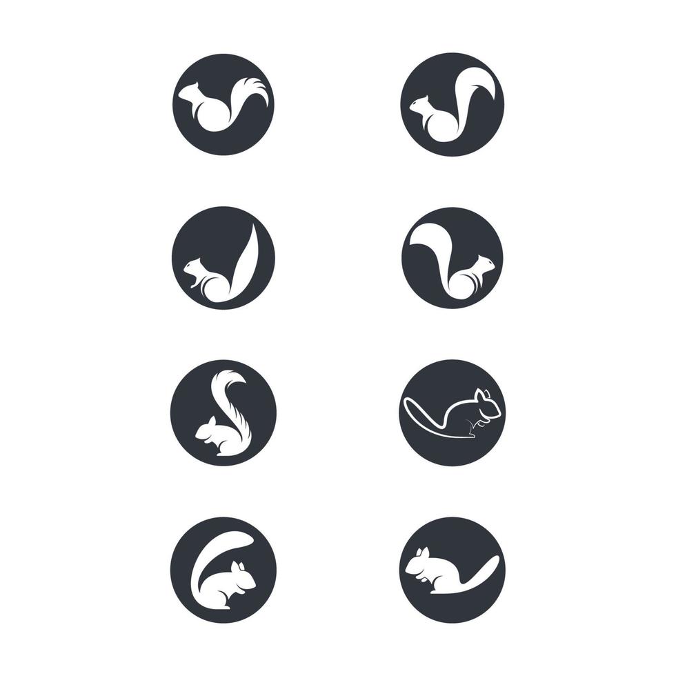 Squirrel logo images illustration vector