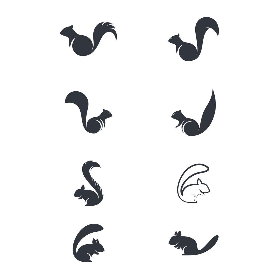 Squirrel logo images illustration vector