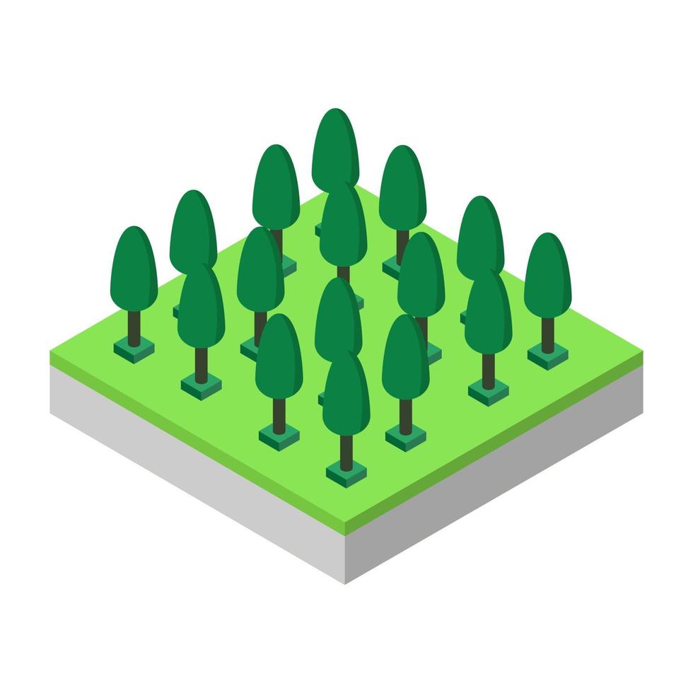 Isometric trees on a white background vector
