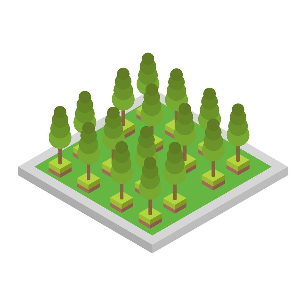 Isometric trees on a white background vector