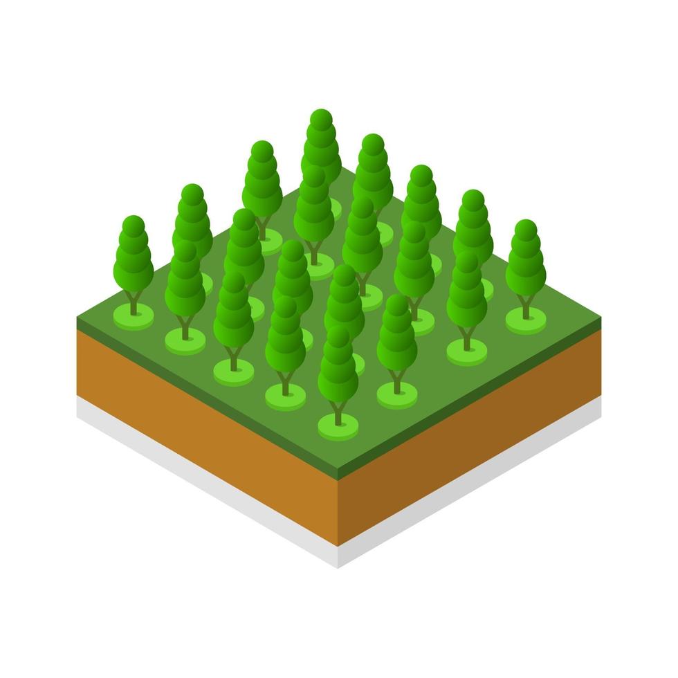 Isometric trees on a white background vector