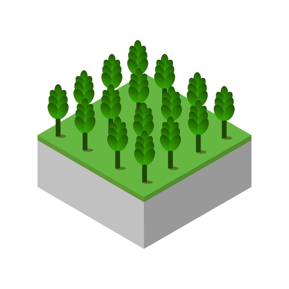 Isometric trees on a white background vector