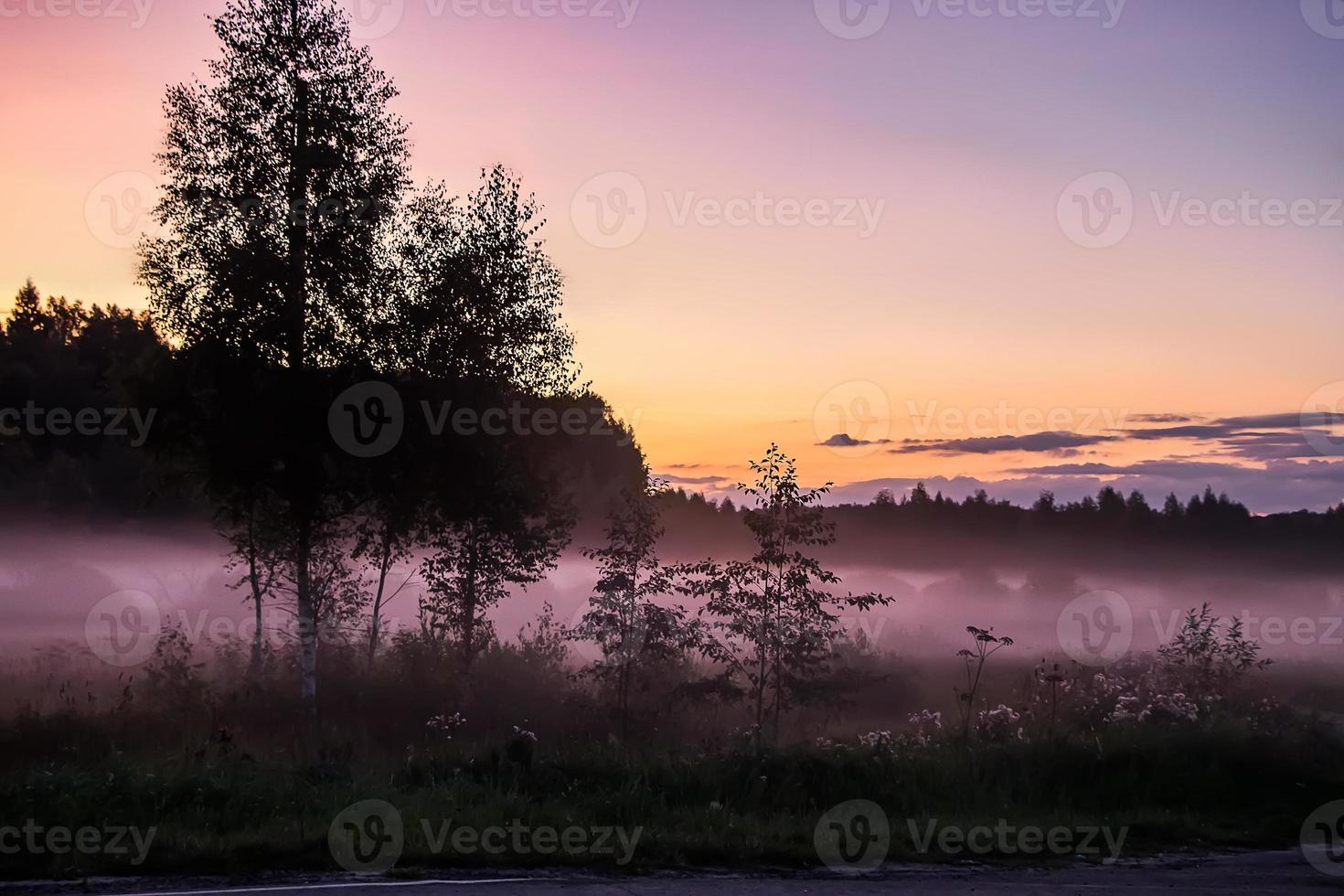 niebla rosada al atardecer. crepúsculo en la naturaleza en el bosque foto