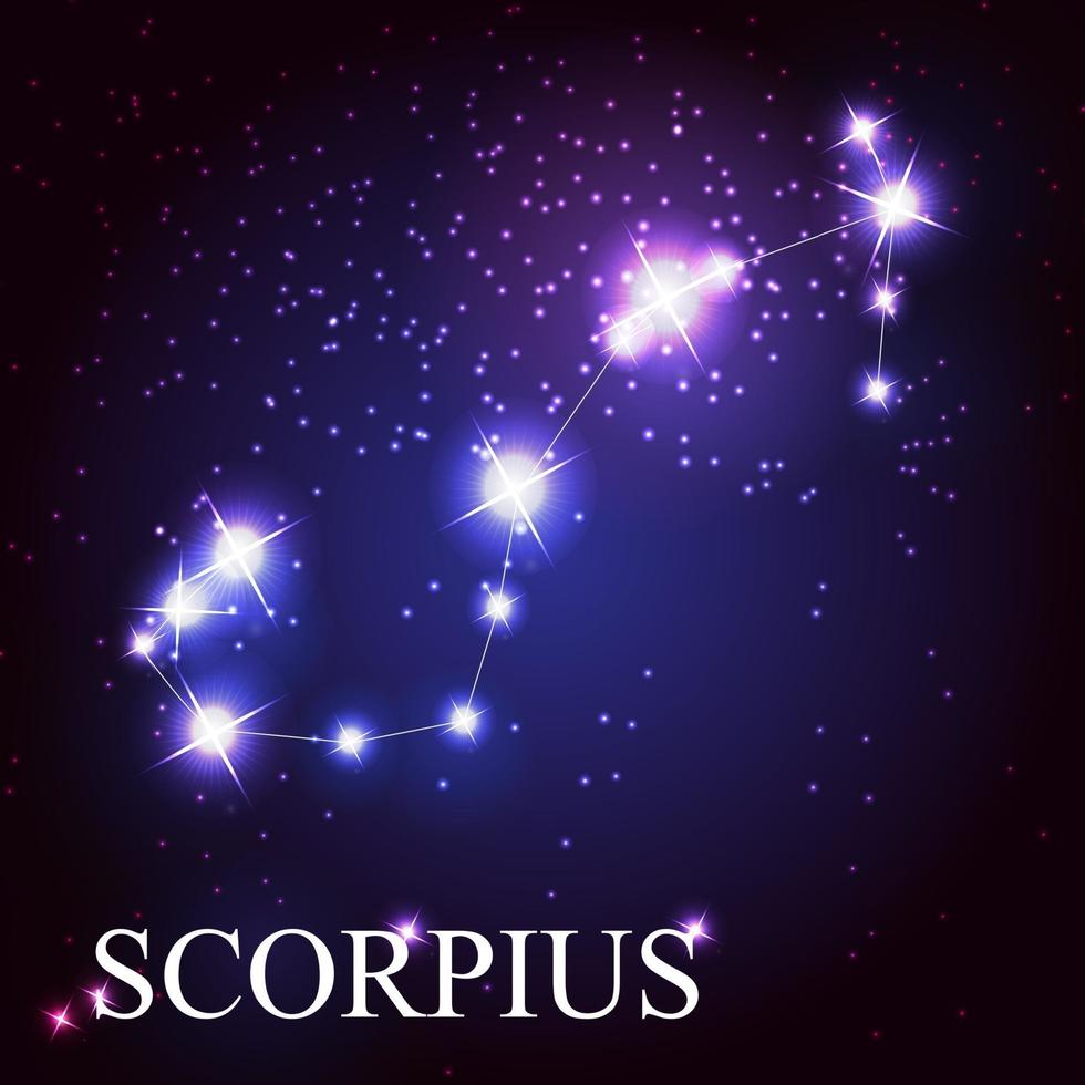 Escorpio signo del zodíaco de las hermosas estrellas brillantes. vector